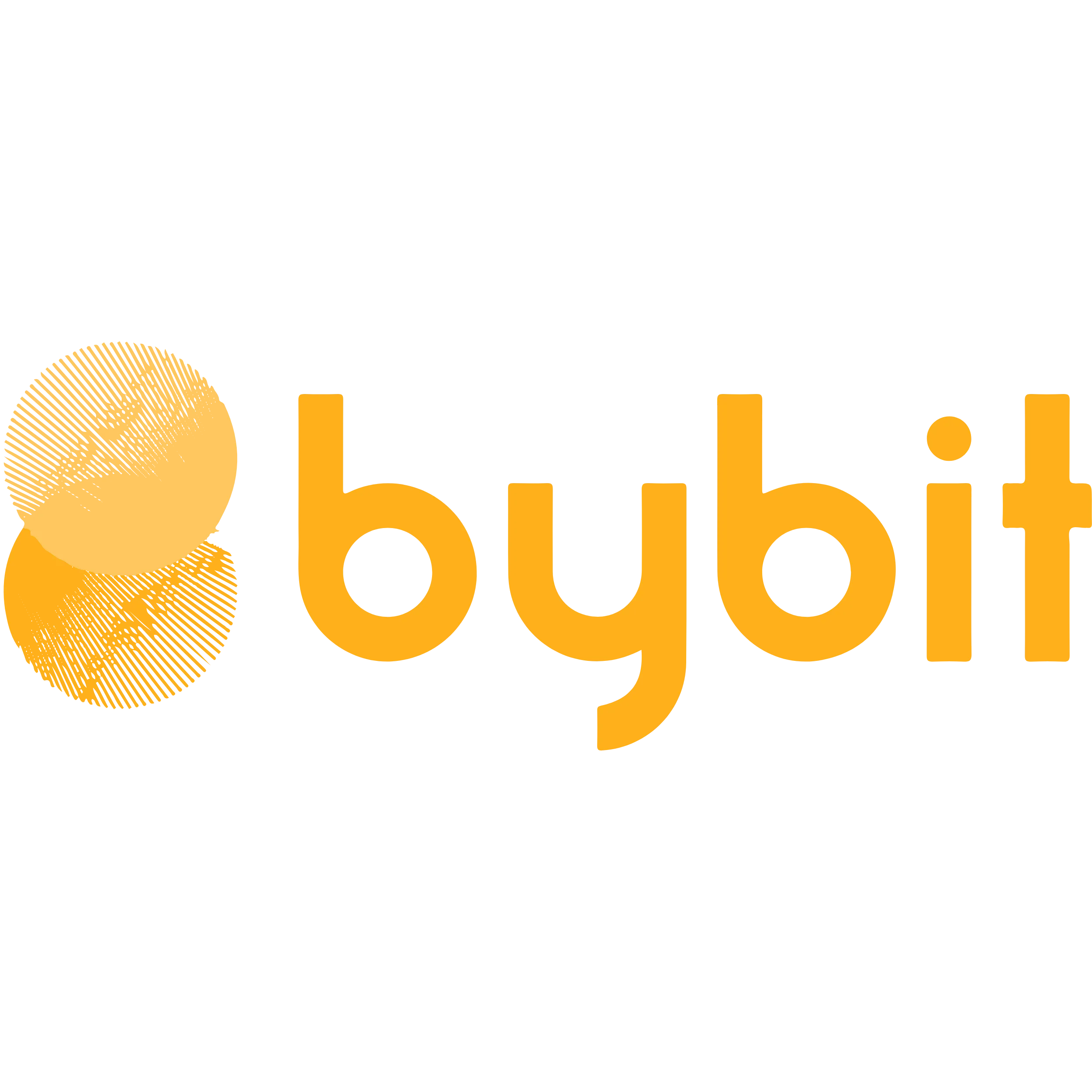 BybitPay